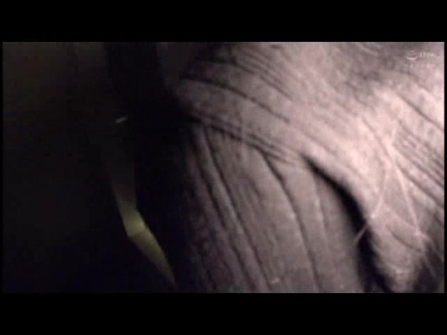 【過去最強に興奮したSEX】ギャル人妻ナンパ！！ 気が強い女はアルコール入れると…_01